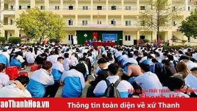 Каждый молодежный союз является местом консультирования и профессиональной ориентации молодых людей.