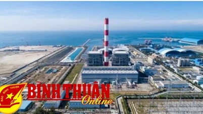 Central térmica Vinh Tan 1 BOT: desarrollo de energía verde y sostenible