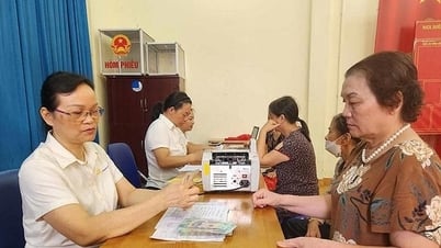 정부, 자발적 사회보험 가입자 지원 수준 '확정'