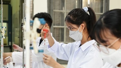 There will be no more classification of research-oriented or applied-oriented universities.