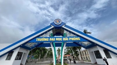 Trường Đại học Hải Phòng thông báo tuyển sinh đại học chính quy năm 2025