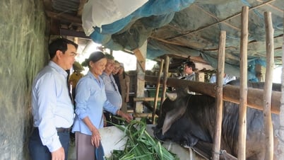 ពង្រឹង និងបង្កើតការឯកភាពគ្នាក្នុងចំណោមប្រជាជន