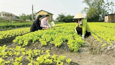 Nguồn lực cho nông thôn mới nâng cao