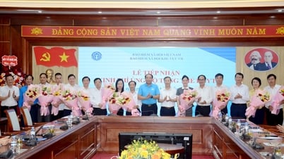 Bảo hiểm xã hội Khu vực VII tổ chức tọa đàm kỷ niệm Ngày Bảo hiểm y tế Việt Nam 1/7