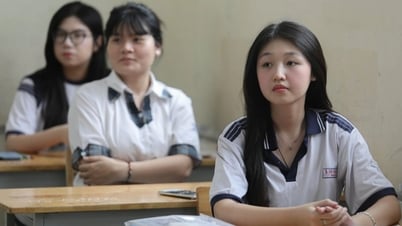 9.0 đọc hiểu IELTS cũng không hiểu hết đề tiếng Anh thi tốt nghiệp?