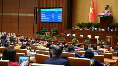 الجمعية الوطنية تقر قانون العلوم والتكنولوجيا والابتكار: المزيد من الآليات الرائدة