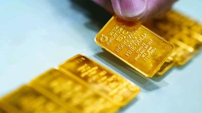 Quyền Tổng Giám đốc SJC nói gì về kết luận thanh tra?
