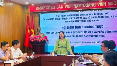 Trial operation of the apparatus of the Standing Committee of the Vietnam Fatherland Front Committee of Dong Da ward (new)
