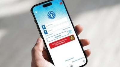 الفئات المطلوبة للمشاركة في التأمين الاجتماعي الإلزامي وفق اللوائح الجديدة اعتباراً من 1 يوليو 2025