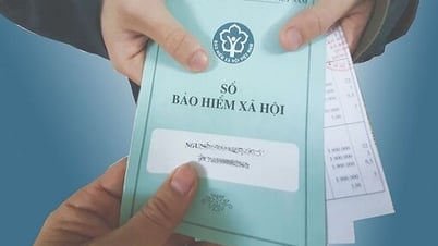 ลูกจ้างตามสัญญาที่ไม่ได้ระบุชื่อไว้ในสัญญาจ้างงานยังคงได้รับสิทธิที่ได้รับการรับประกัน