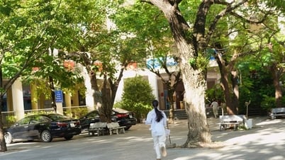 مدينة هوشي منه: حصل المرشح على إذن خاص للتخرج