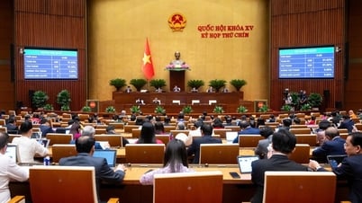 قانون العلوم والتكنولوجيا والابتكار: وضع الشركات في المركز، وتعزيز الحرية الأكاديمية والتفكير الإداري الجديد
