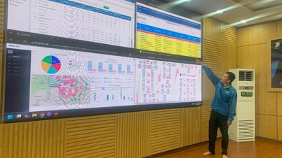 디지털 서비스 제공을 위한 노력, 포괄적인 디지털 전환 촉진