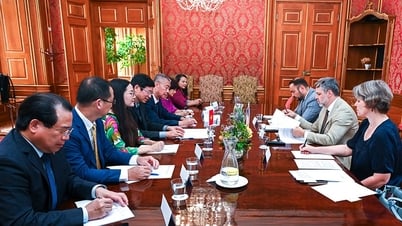 Việt - Séc: Nhất trí tiếp tục ủng hộ lẫn nhau tại các diễn đàn hợp tác đa phương về văn hóa