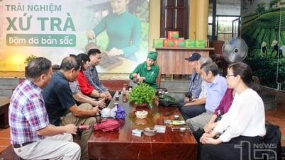 Tổ chức đi thực tế phục vụ sáng tác Cuộc thi 'Trăm năm đệ nhất danh Trà'