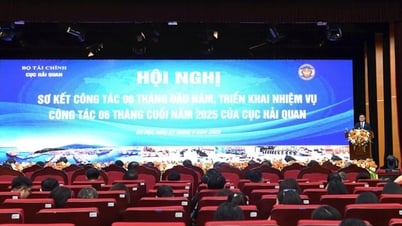 세관은 6개월 동안 약 2톤의 마약을 발견하고 압수하는 작업을 총괄하고 조정했습니다.
