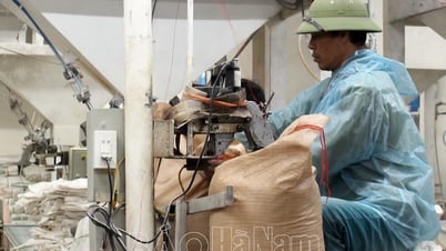 Phát triển ngành công nghiệp xay xát