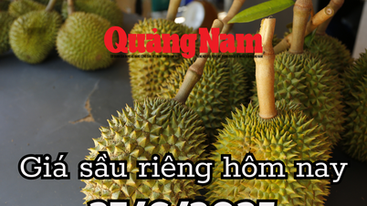 Durian-Preis heute, 27. Juni 2025: Der thailändische Durian-Preis steigt weiter und steigt kontinuierlich