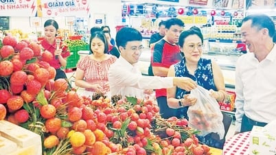 리치 소비 촉진을 위한 다양한 창의적인 솔루션