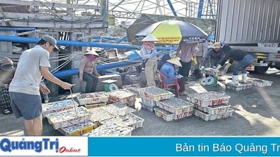 Les pêcheurs attrapent du poisson avec enthousiasme pendant la saison australe