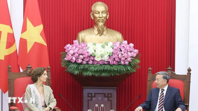 'Never before has the Vietnam-UNESCO cooperation relationship been as good as it is today'