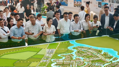 Ciudad Ho Chi Minh - Una superciudad verde y creativa - Parte 1: Uniendo esfuerzos para crear un nuevo impulso y un nuevo espacio