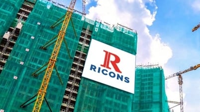Les actionnaires de Ricons ne souhaitent pas encore coter leurs actions