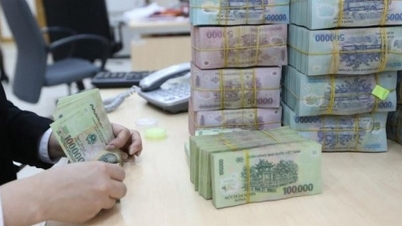 Chính sách tài khóa năm 2025: Tiếp tục tạo động lực tăng trưởng cho nền kinh tế