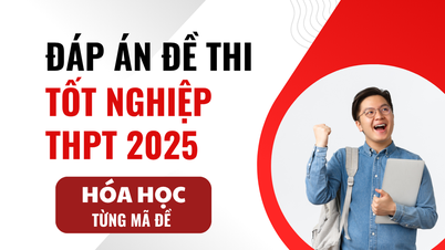 Đáp án môn Hóa Học mã đề 0301 thi tốt nghiệp THPT 2025