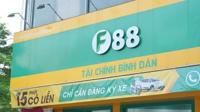 Lý do chuỗi cho vay F88 chốt thưởng cổ phiếu 1.200%