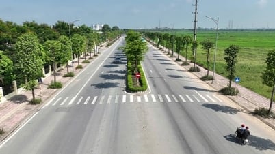 Leasing nearly 3,700m2 of land in Bich Hoa commune (Thanh Oai district) to build Pimex petrol station