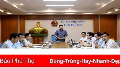 Sicherstellung des Fortschritts des 500-kV-Übertragungsleitungsprojekts Lao Cai – Vinh Yen