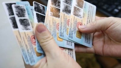 Benefits of using personal identification number as tax code
