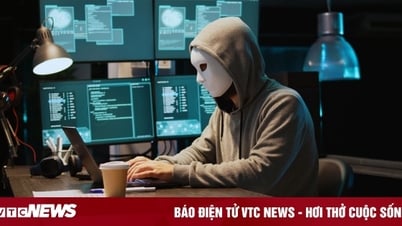 7 types of online scams and how to escape the trap