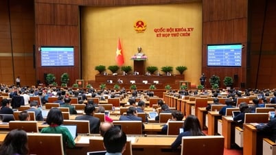 Quốc hội 'chốt' nhiều cơ chế, chính sách đặc biệt xây dựng nhà máy điện hạt nhân