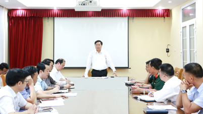 탐즈엉 I 산업단지 프로젝트 - 3구역 배치