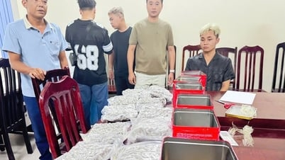 Hải quan khu vực phối hợp triệt phá đường dây vận chuyển 30kg cần sa liên tỉnh