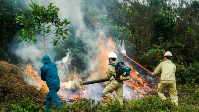Actively prevent and fight forest fires