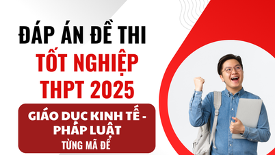 Đáp án môn Giáo dục kinh tế pháp luật mã đề 1004 thi TN THPT 2025