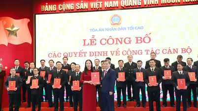 Vergabe der Entscheidung des Obersten Richters des Volksgerichts von Ho-Chi-Minh-Stadt, Tay Ninh, Dong Nai nach der Fusion