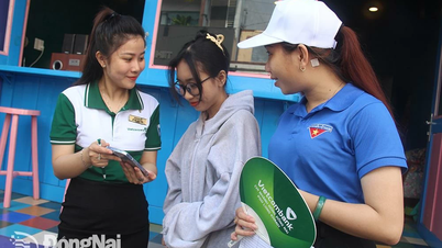 Dong Nai requires maintaining effective operations of local community digital technology teams