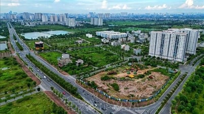 Hoàn thiện dữ liệu đất đai sau hợp nhất: Đảm bảo cả chất lượng và tiến độ