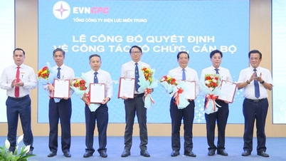 أعلنت شركة EVNCPC عن قرارها بتأسيس 6 شركات طاقة بعد الاندماج