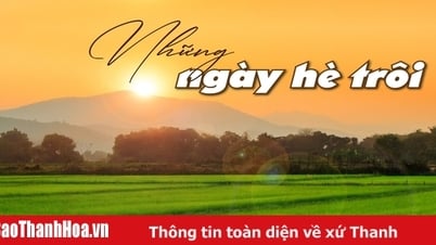 [Emagazin]: 여름날이 지나가고