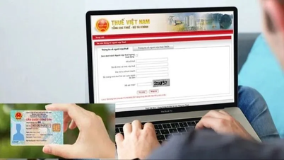 Tạm dừng hệ thống thuế điện tử từ ngày 27-6 đến 1-7 để nâng cấp