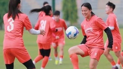 ナム・ミが敗退したため、ベトナム女子チームにはアジア大会に出場できる海外在住のベトナム人選手がいなくなった。