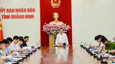 54 председателя общинного уровня присоединились к Руководящему комитету 389 провинции Куангнинь