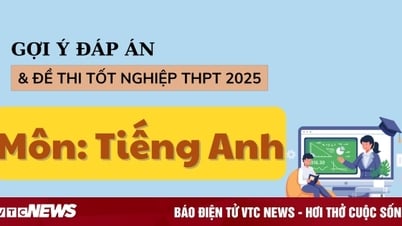 Ответы на выпускной экзамен по английскому языку для средней школы 2025 года, все коды экзаменов