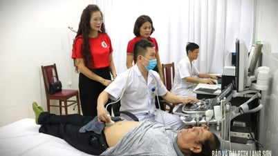 ពិនិត្យ និង​ព្យាបាល​ដោយ​មិន​គិតថ្លៃ​ជូន​ជនរងគ្រោះ​ដោយ​ភ្នាក់ងារ​ពណ៌​ទឹកក្រូច