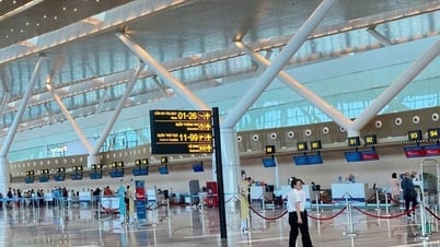 Một đơn vị hải quan mới quản lý sân bay Tân Sơn Nhất và Long Thành
